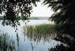 Zum Vergrößern klicken